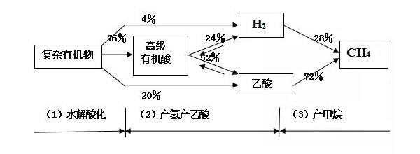 厌氧消化的三个阶段和COD转化率有多少?