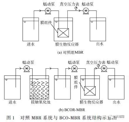 对照MBR系统与BCO-MBR系统结构示意图