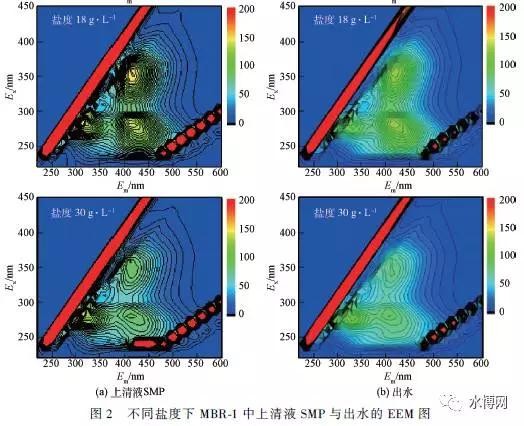 不同盐度下MBR-1 上清液SMP 与出水的3DEEM图