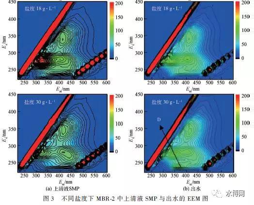 不同盐度下MBR-2 上清液SMP 与出水的3DEEM图