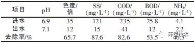  BAF的进出水水质